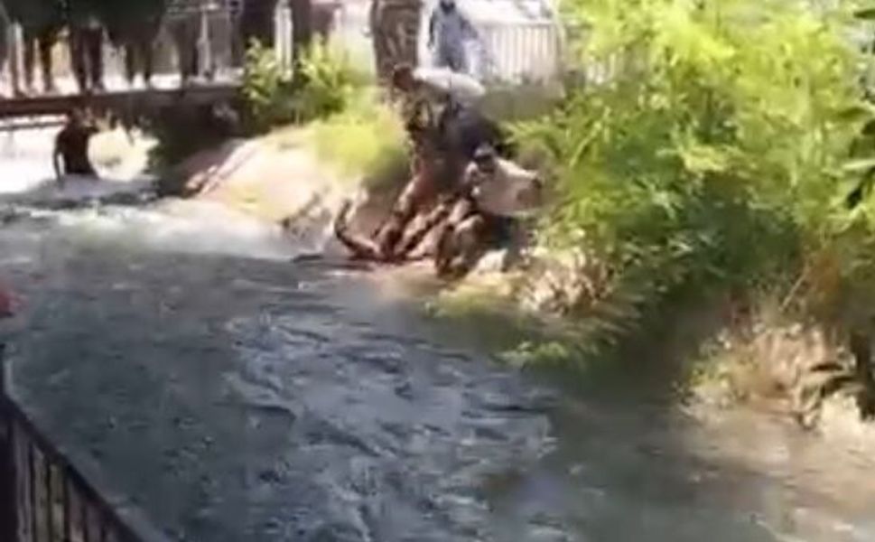 Tarsus'ta sulama kanalına düşen çocuk kurtarıldı