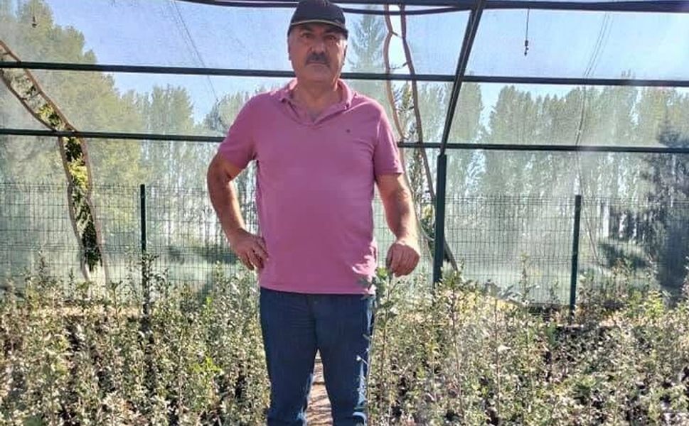 Mersin’in tropikal tarım rotası mango olabilir