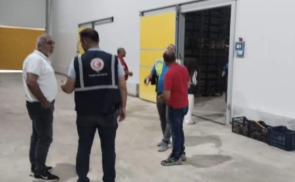 Mersin’de soğuk hava depolarında stok denetimi