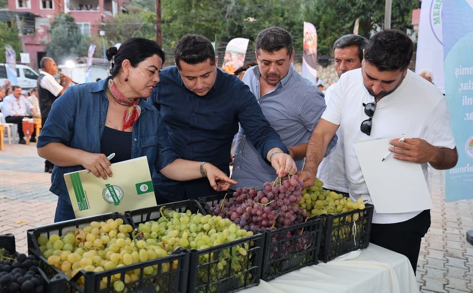 Para etmeyen üzümün festivalini yaptılar
