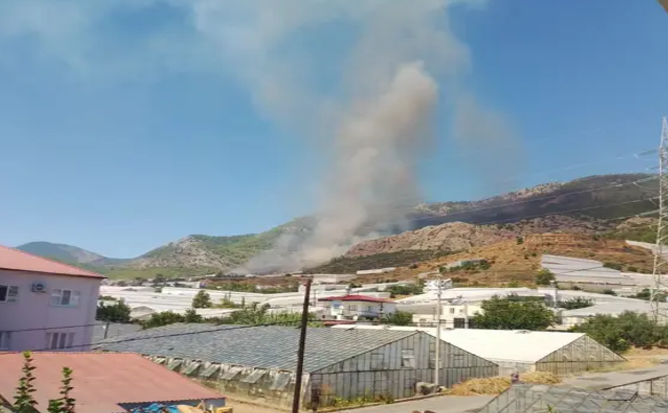 Mersin Bozyazı'da orman yangını