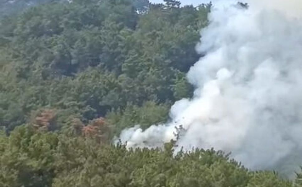 Kozan'da orman yangını başladı