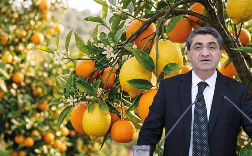 “Mersinli üreticimizin emeği heba olmamalı”