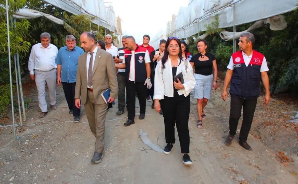 Rusya heyeti Mersin’de tarımsal üretim ve ihracatı inceledi