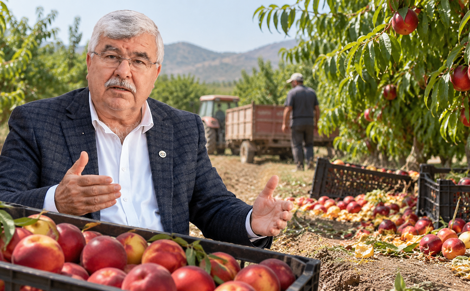 Ürün tarlada kaldı, üretici maliyetine satış yaptı