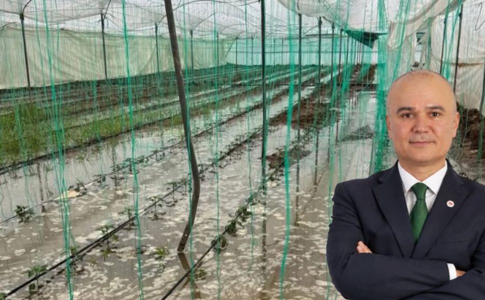Sağanak mağduriyeti yaşayan çiftçilere Güner’den destek