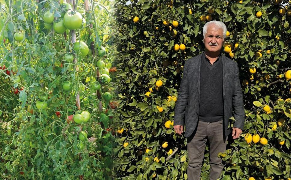 Erdemli’de dolu afeti çiftçinin yükünü ağırlaştırdı