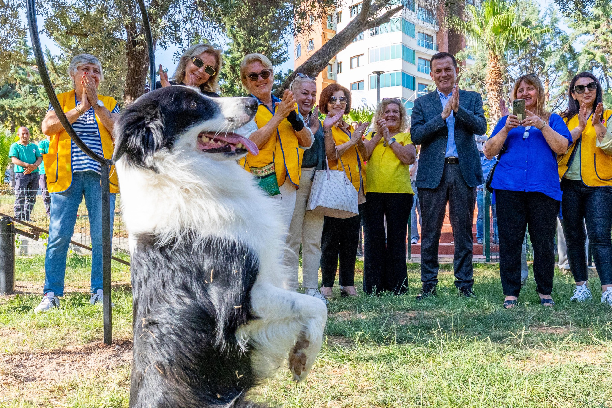 Yenişehir Belediyesinden Patili Dostlara Özel Park13