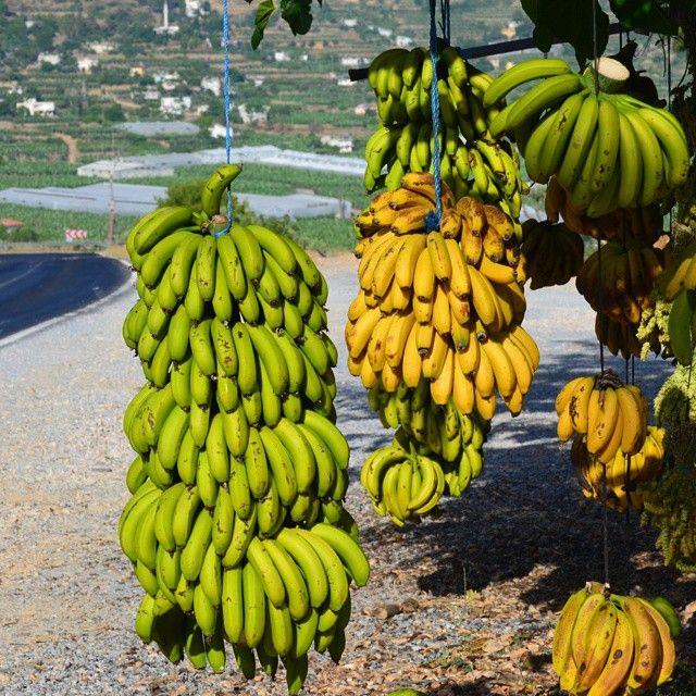458399,Anamur Muzujpg