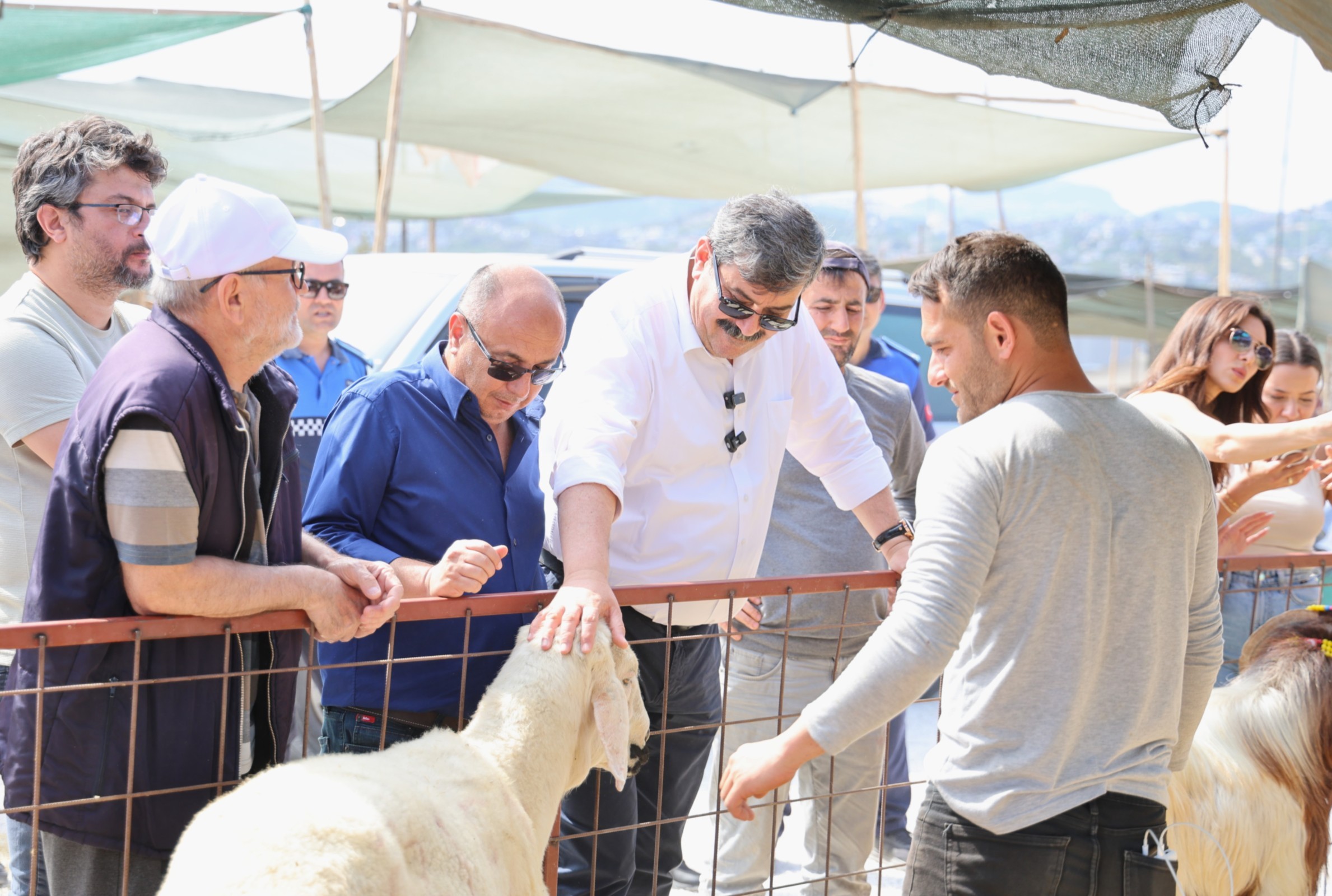 Başkan Yıldız Kurban Satış Alanını Ziyaret Etti (4)