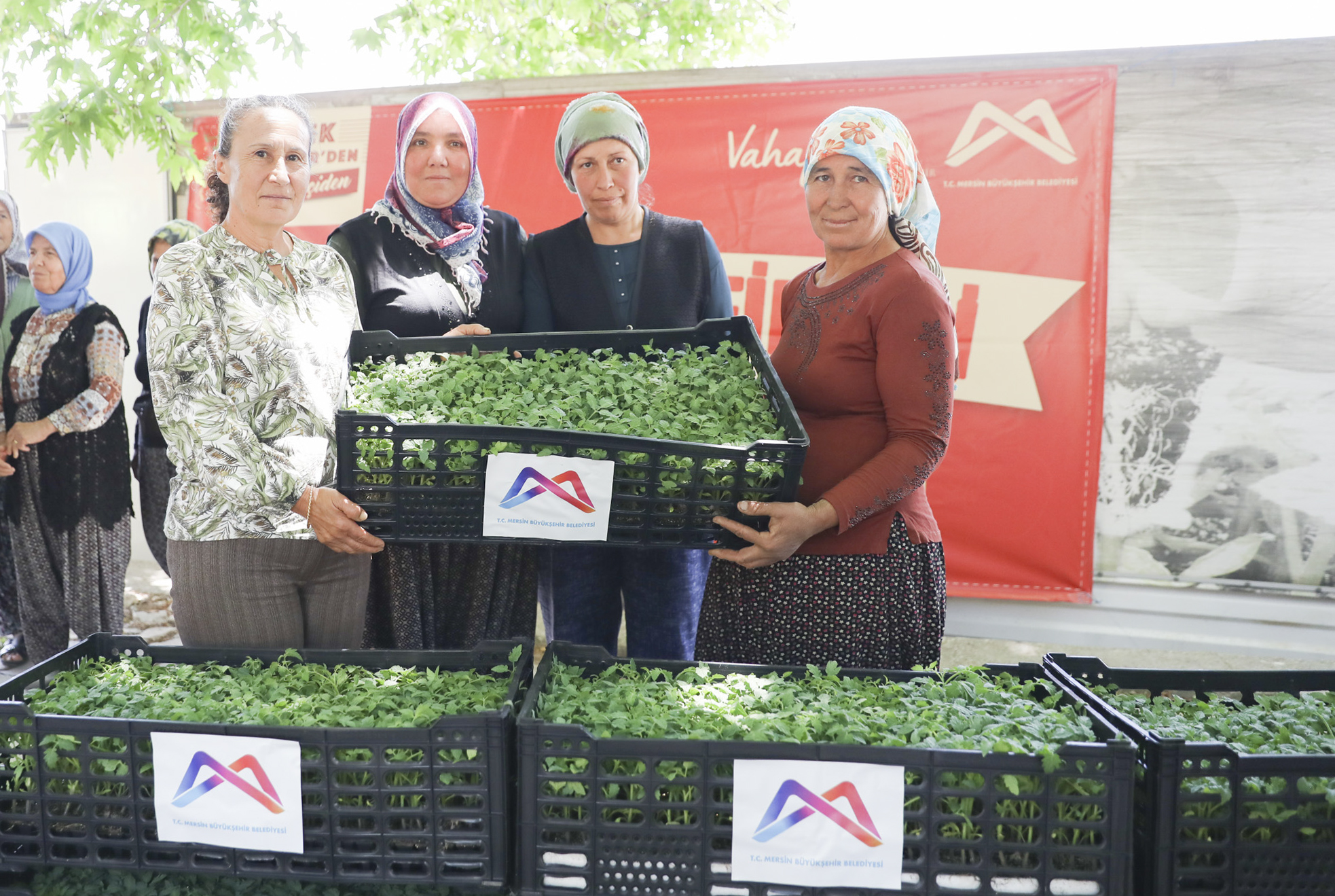 Büyükşehi̇r Gülnar’da 105 Bi̇n Domates Fi̇desi̇ Dağitti (4)