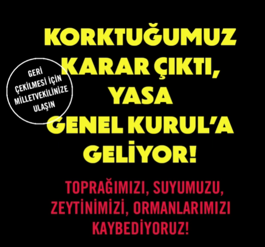 Ekran Görüntüsü 2025 06 21 034842