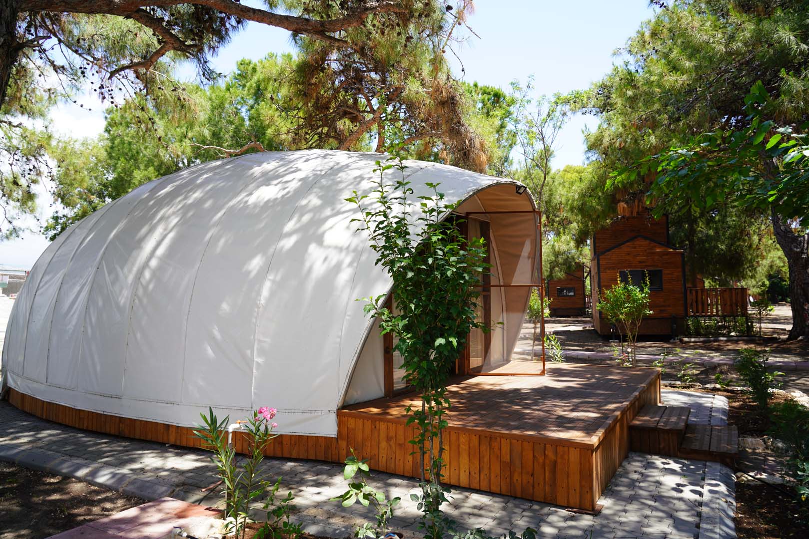 Glamping 6