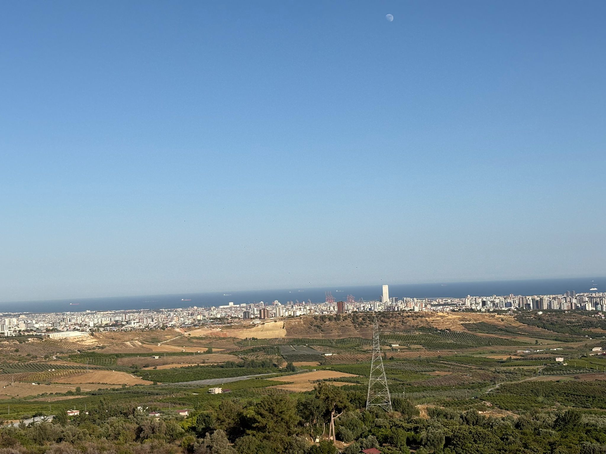 0F7Ce195 F9A8 4E0E A1D0 B8826E6C20F2