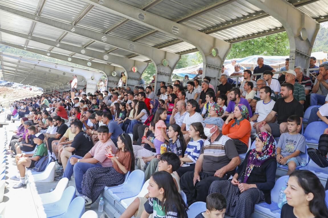 15636820250713073944