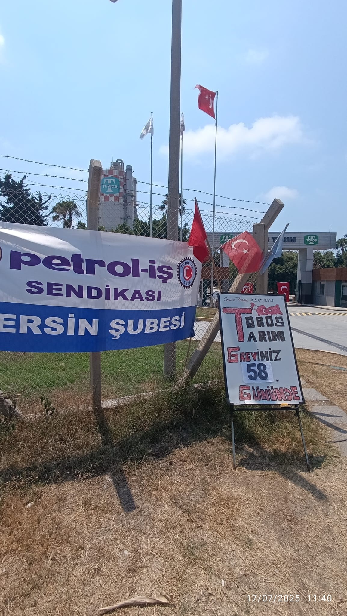 518278861 1204578138374760 1025444718251973815 N