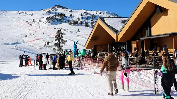 65Aa1A419315358C9C4B66A4