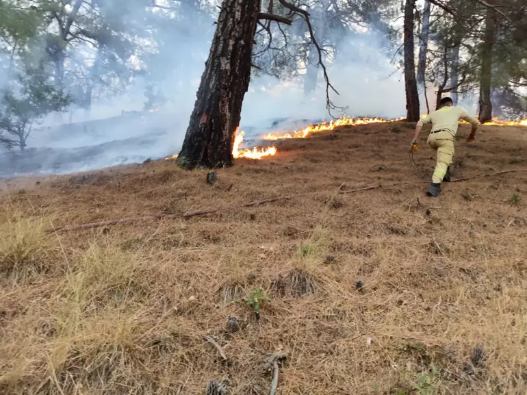 6885F969A53666E04Beb87Ae