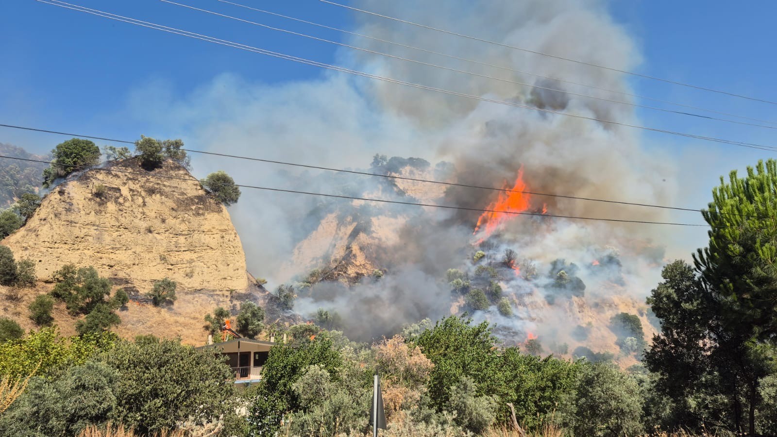 A Y D I N’ D A T A R I M A R A Z I S I N D E C I K A N Y A N G I N O 836953 248065