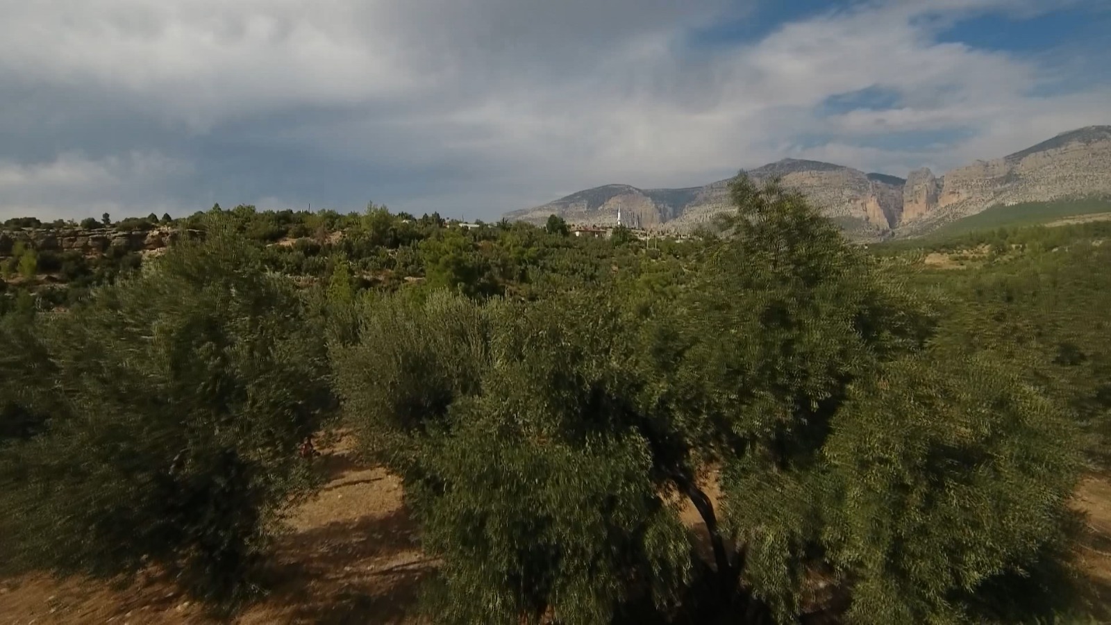 Eca0A384 A844 4Fe2 9B4B 4Ce809770107