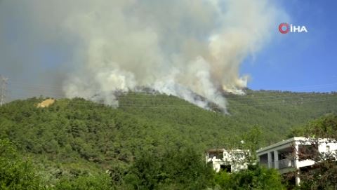 Hatay