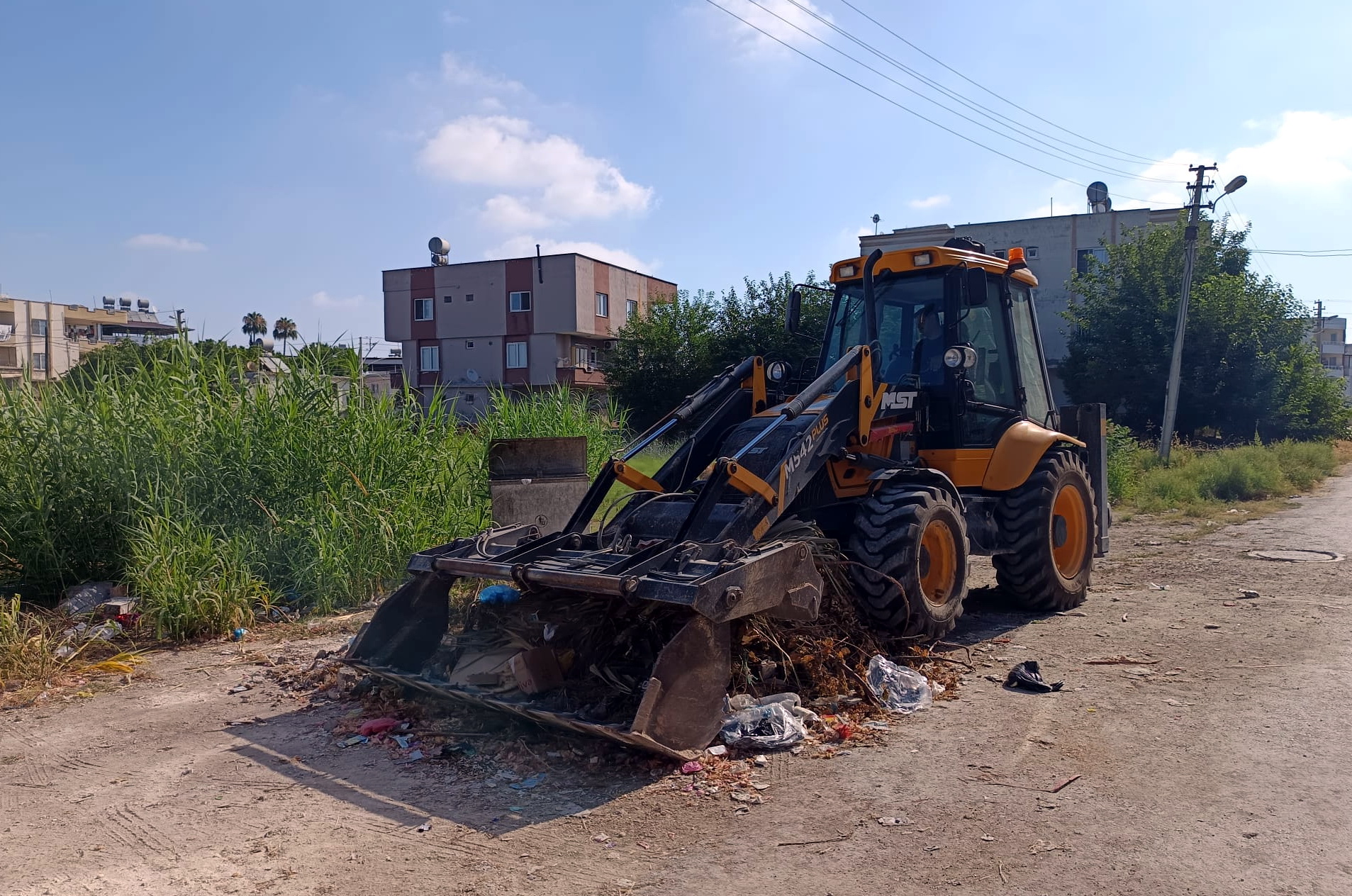 Molozlar Toplanıyor Yabani Otlar Budanıyor 2