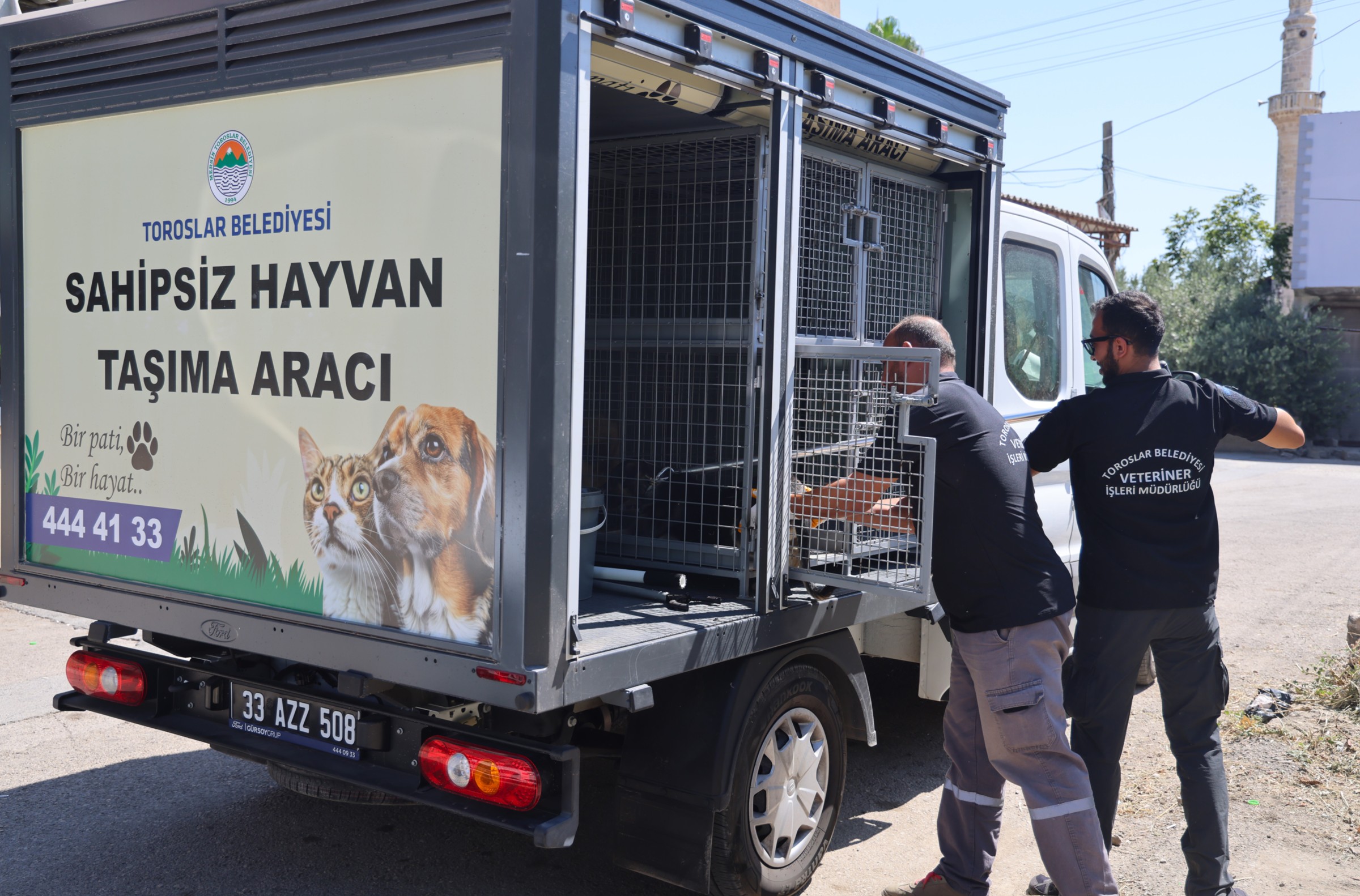 Sokak Hayanlarını Toplama Hizmeti (1)