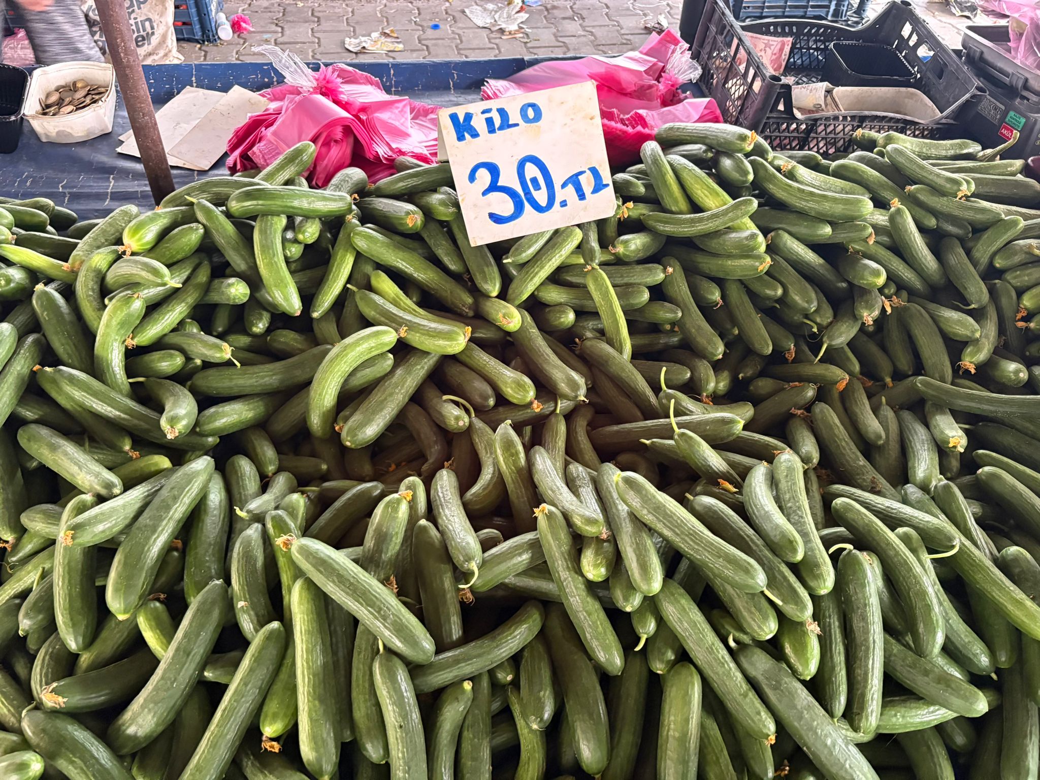 22519376 8452 4D72 9518 935A09A7E040