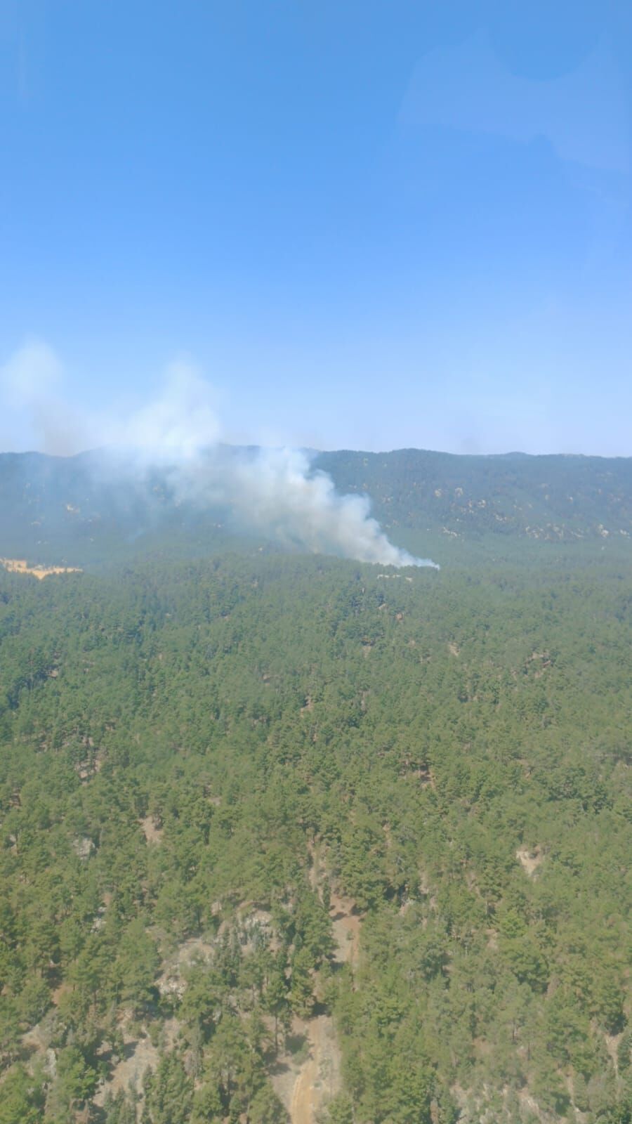 346123E1 23D9 442C 96F9 Add7D5A93F02