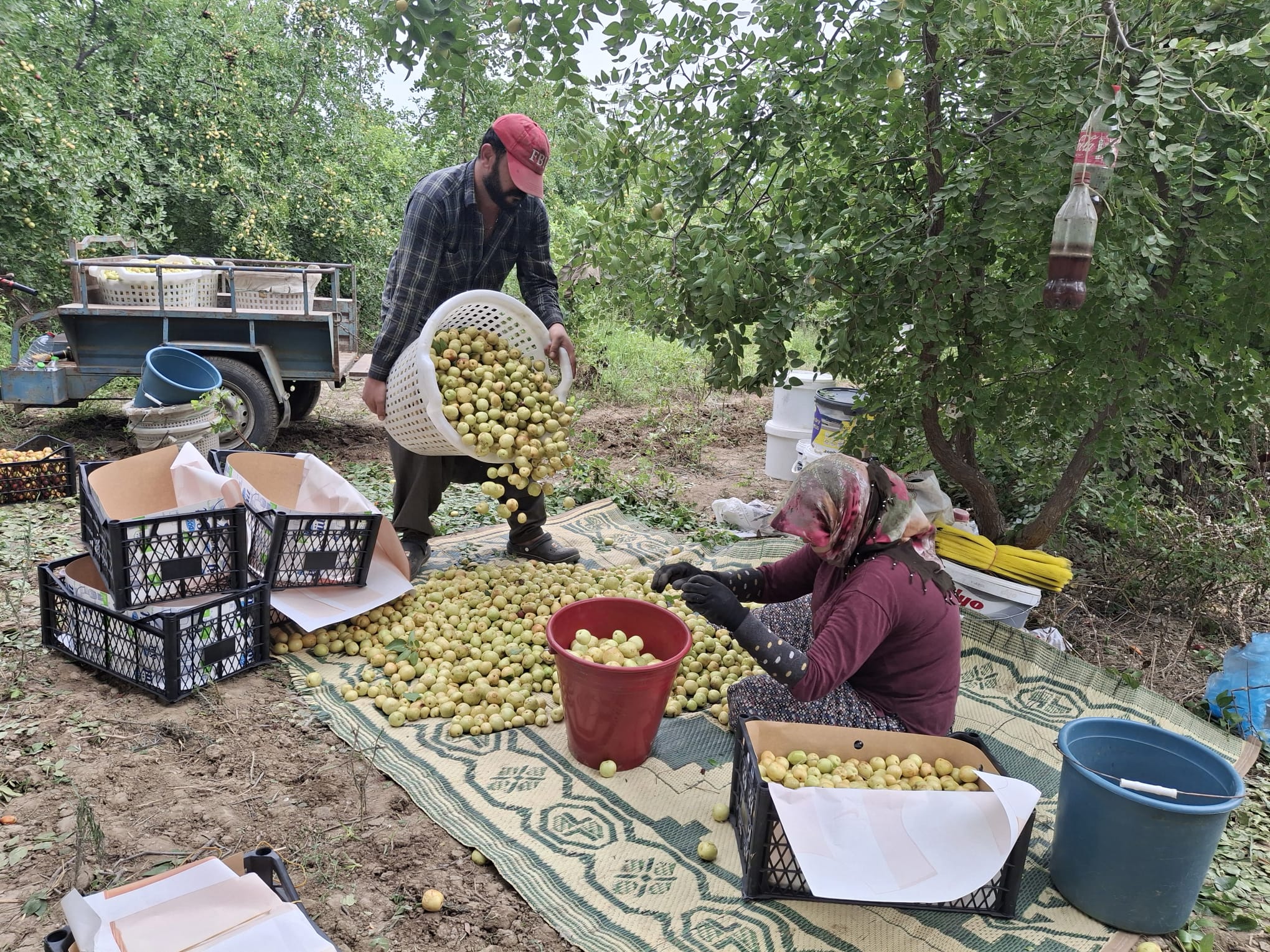 4Ceb23Bc B095 4Df0 8974 9356053A9Dc5