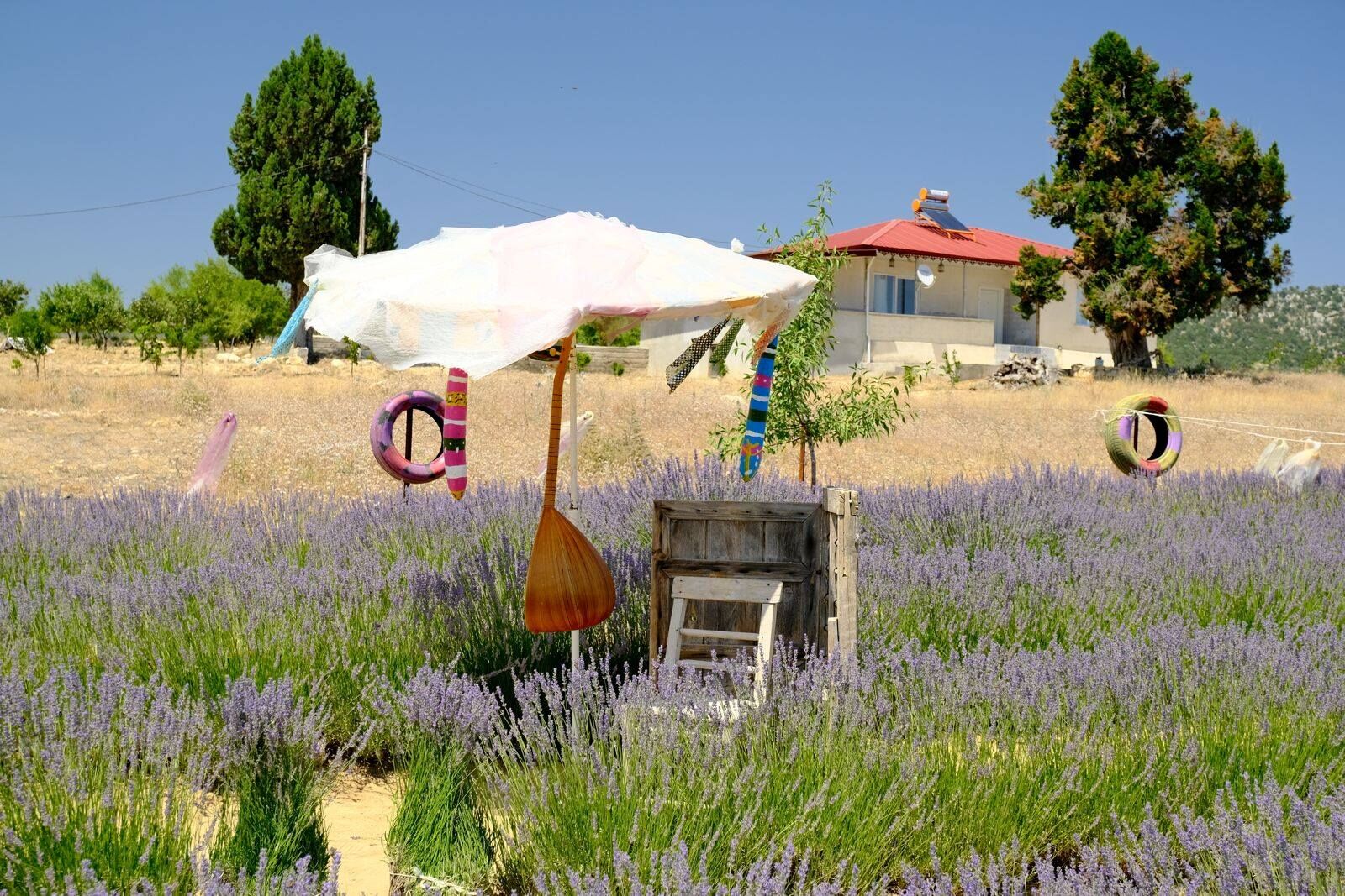 527126610 4004806223119112 6928839834803085763 N