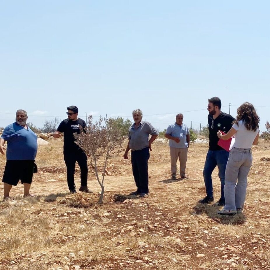 528041594 18067312823516456 1283128054484086314 N