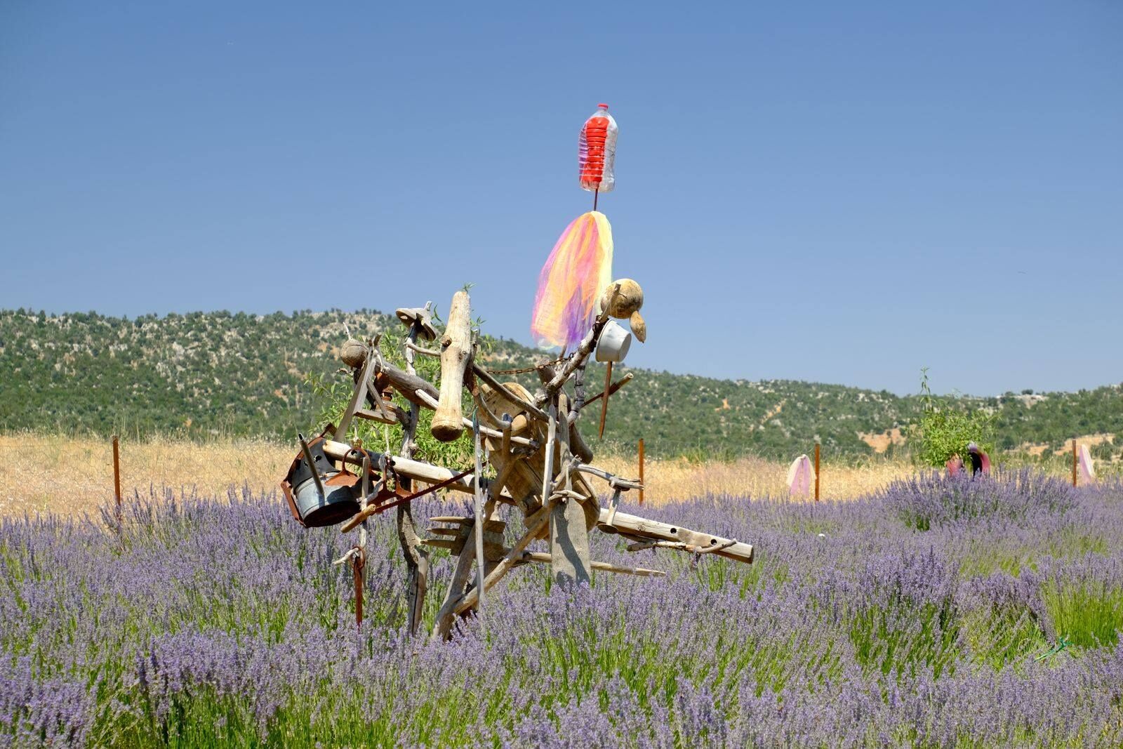 528533553 4004806099785791 4172669763244128883 N