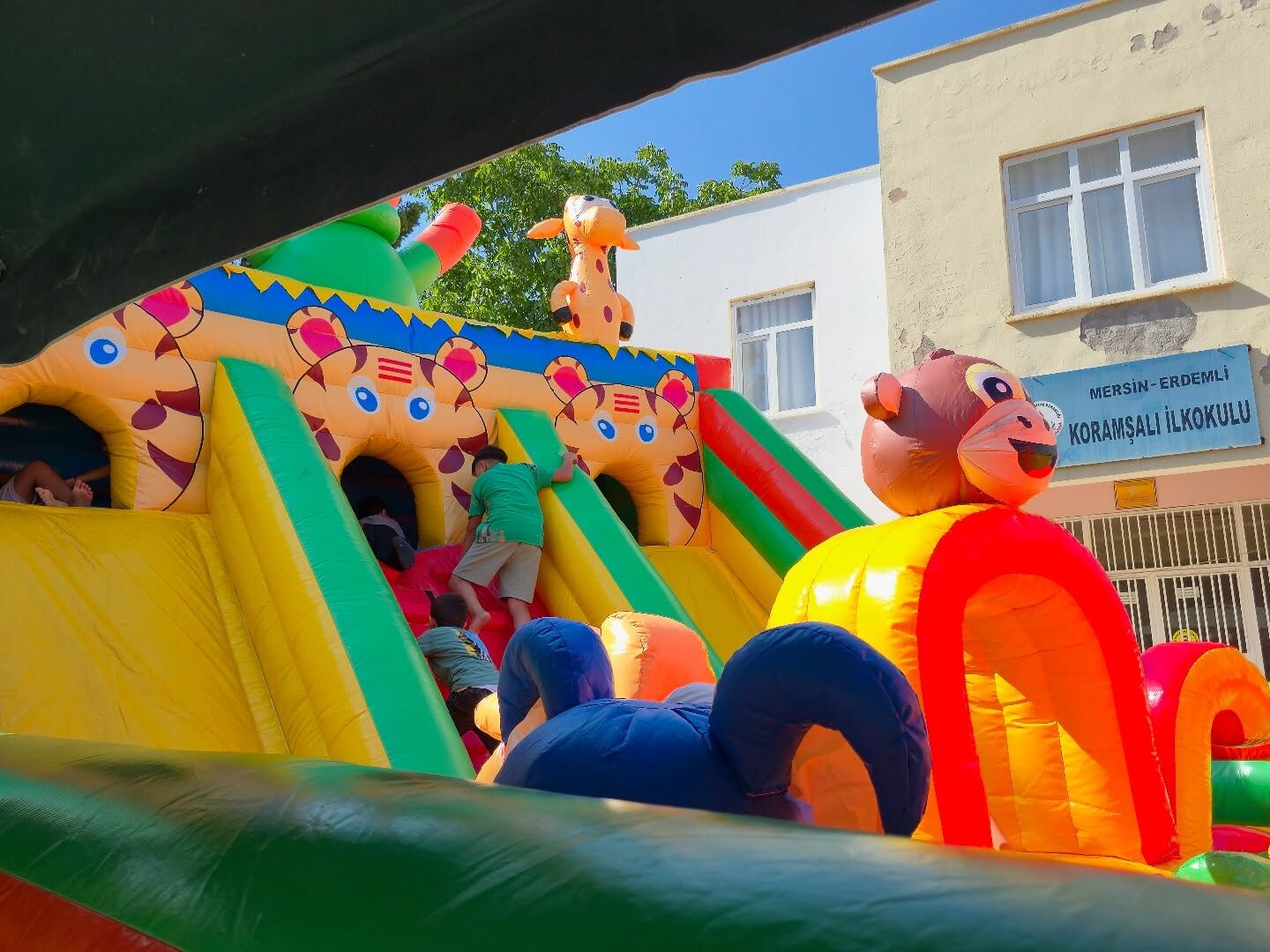 530366708 18421338382099891 2682935888390923126 N