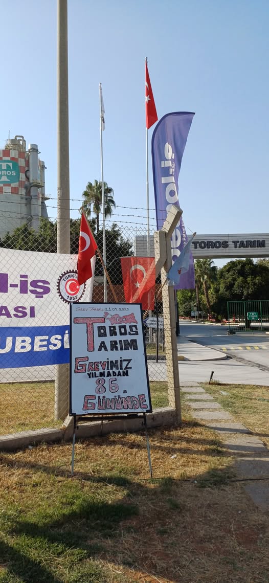 531076239 1228247962674444 4122959460391220367 N