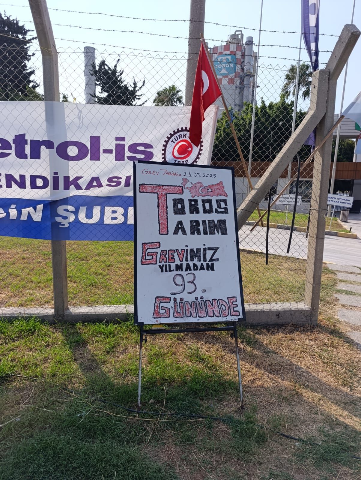 536274927 1234373538728553 2900032474862156286 N