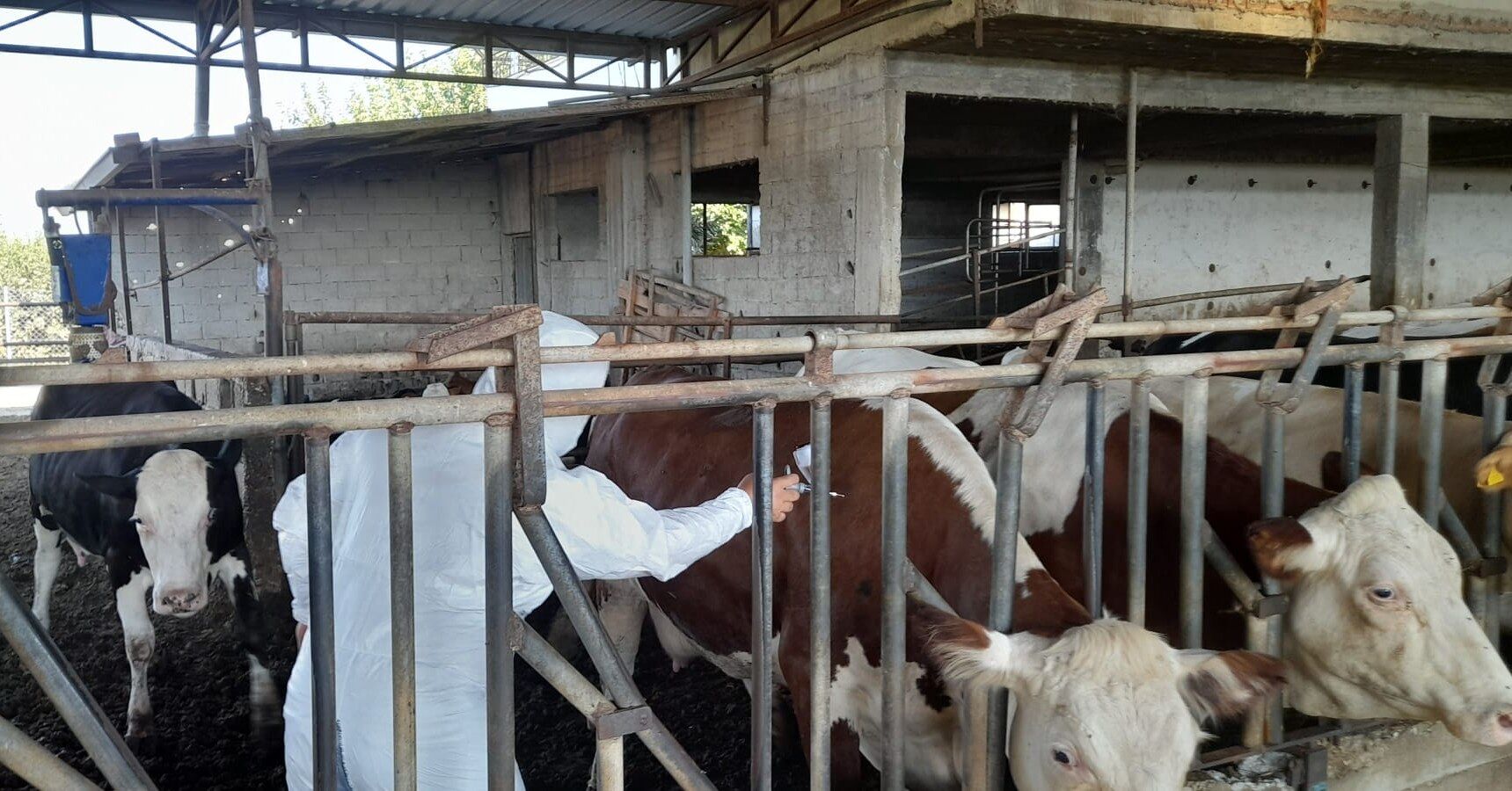 539140818 1231567399012303 4317671186559466050 N