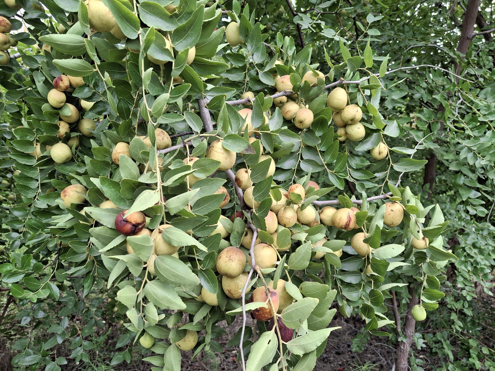 A27D5Ab3 Bc02 4C77 85Db 56D1Fc7570E2