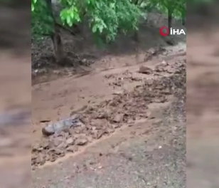 Ekran Görüntüsü 2025 08 03 000552