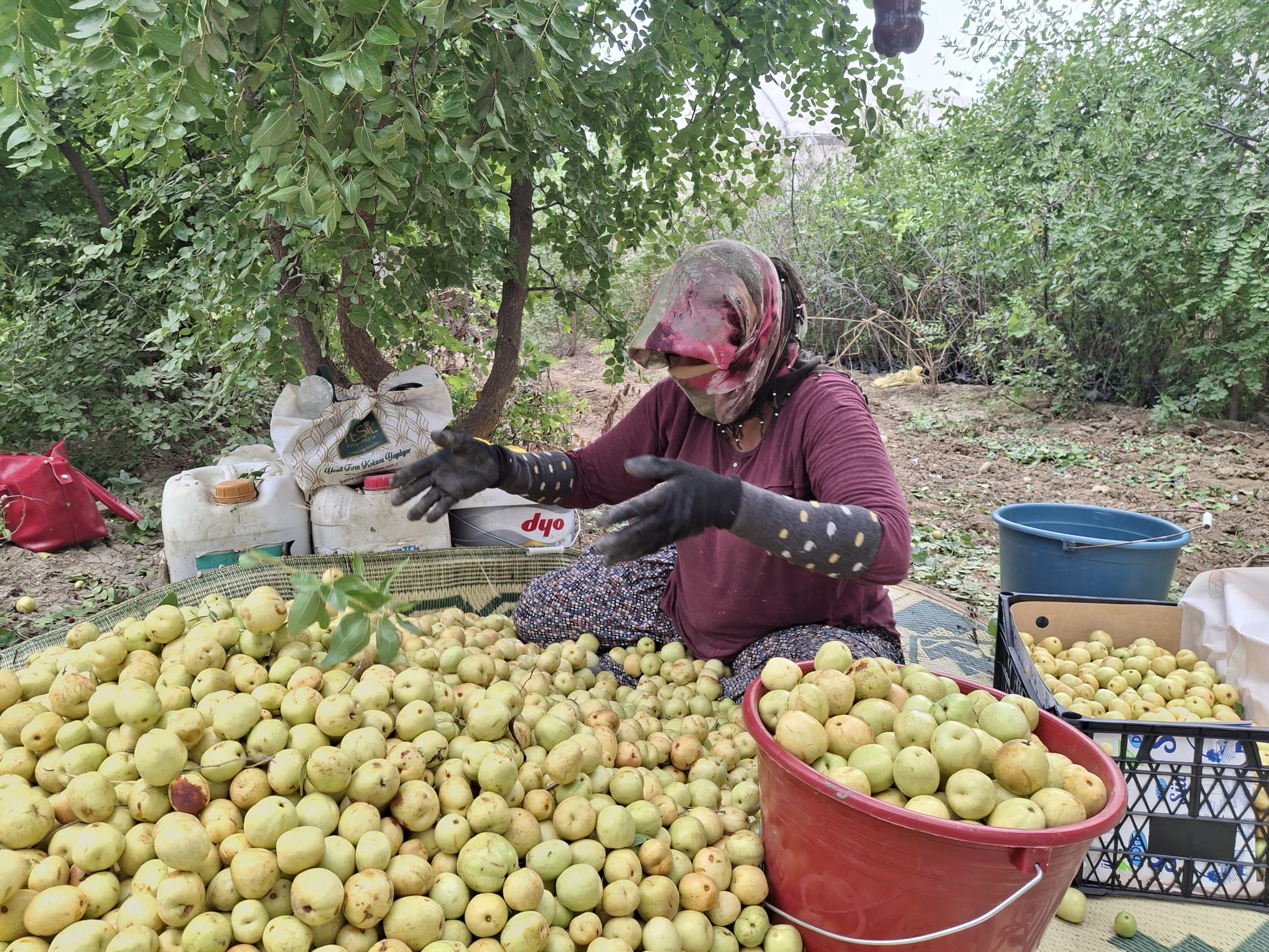 F604Bece Eb83 4379 84F5 F6949A6Eca49