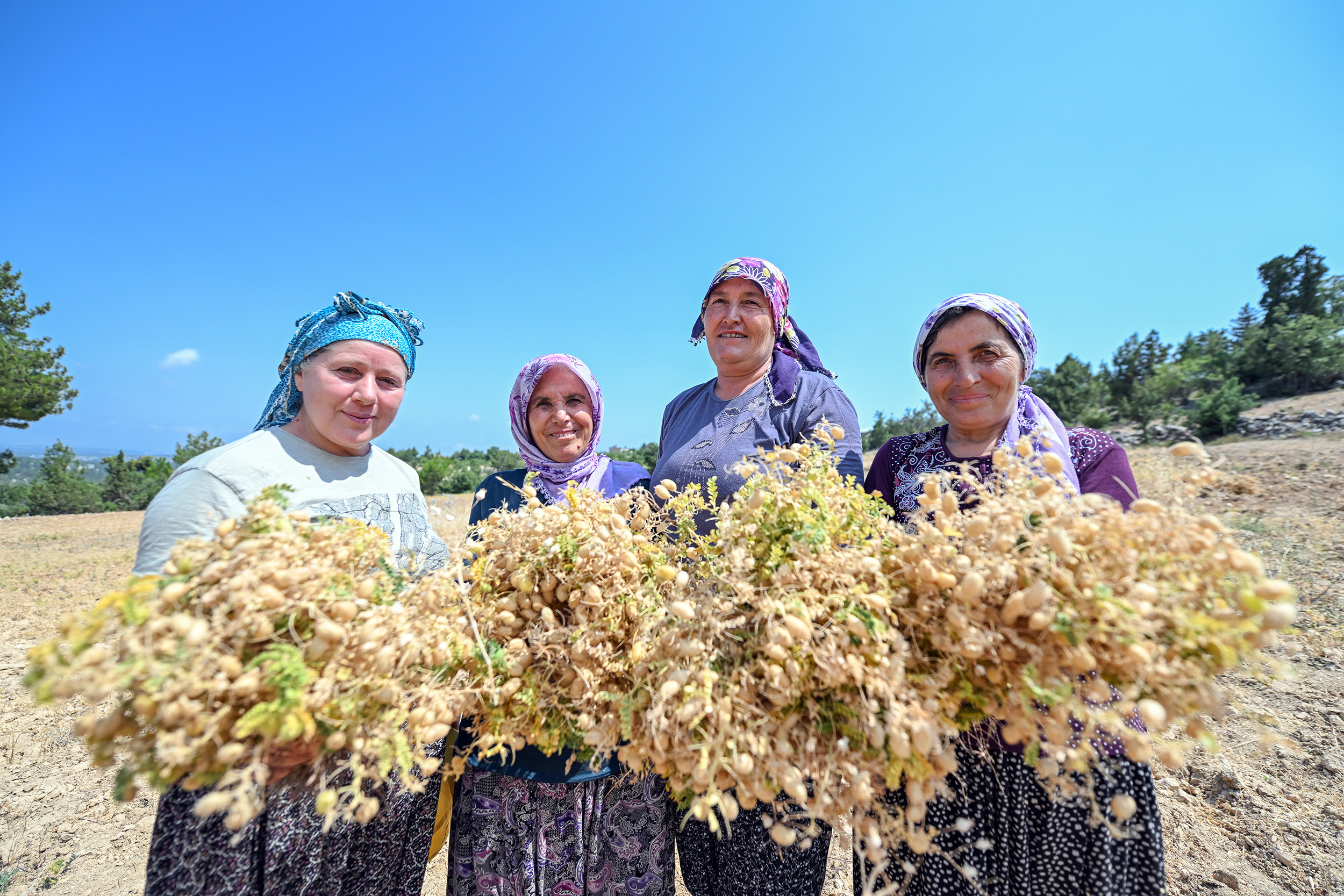 Mersi̇n Büyükşehi̇r İle Atalik Tohumlar Geleceğe Taşiniyor (4)