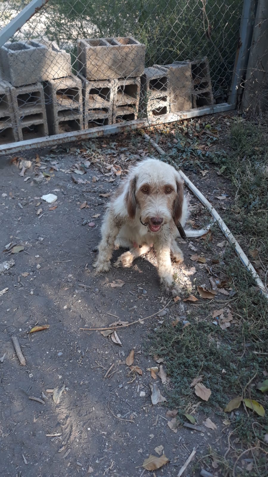 Whatsapp Image 2025 08 18 At 12.14.52 (1)