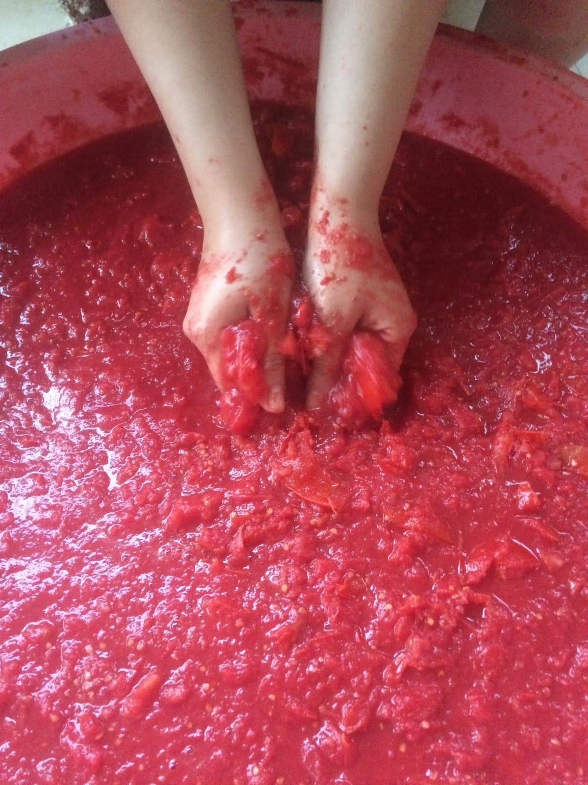 Whatsapp Image 2025 08 30 At 12.22.31