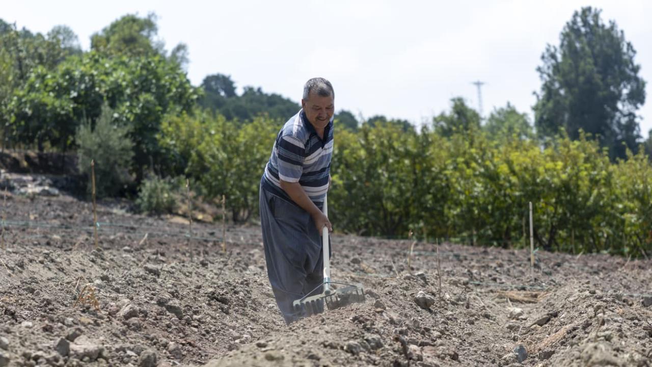 Yenişehir Belediyesinin Desteğiyle Safran Üreticisi Sayısı Artıyor (11)