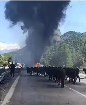 Adana Tır
