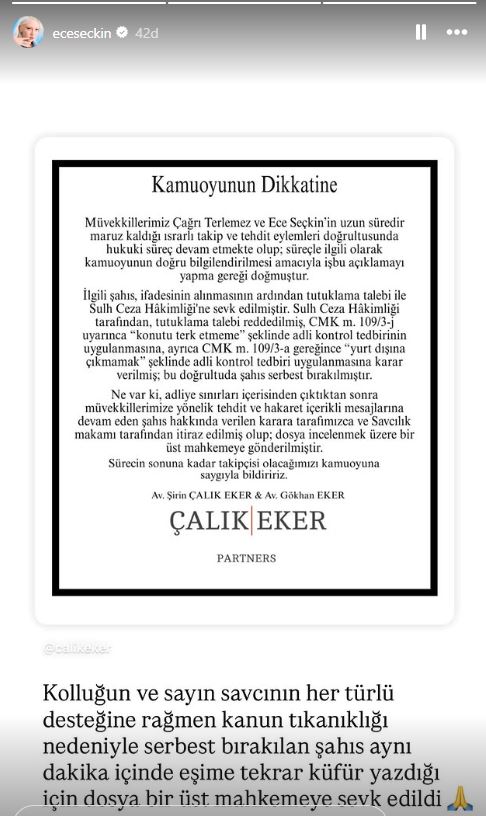 Ece Seçkin 3