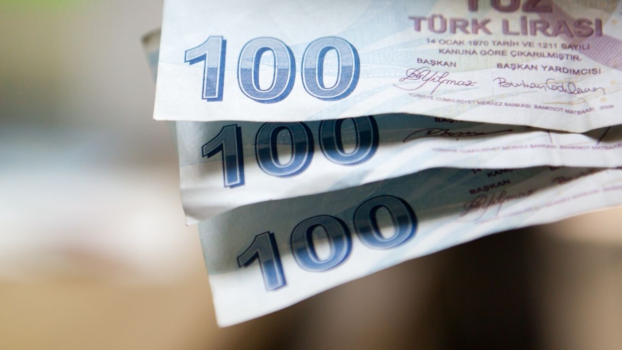 Türk Lirası (10)