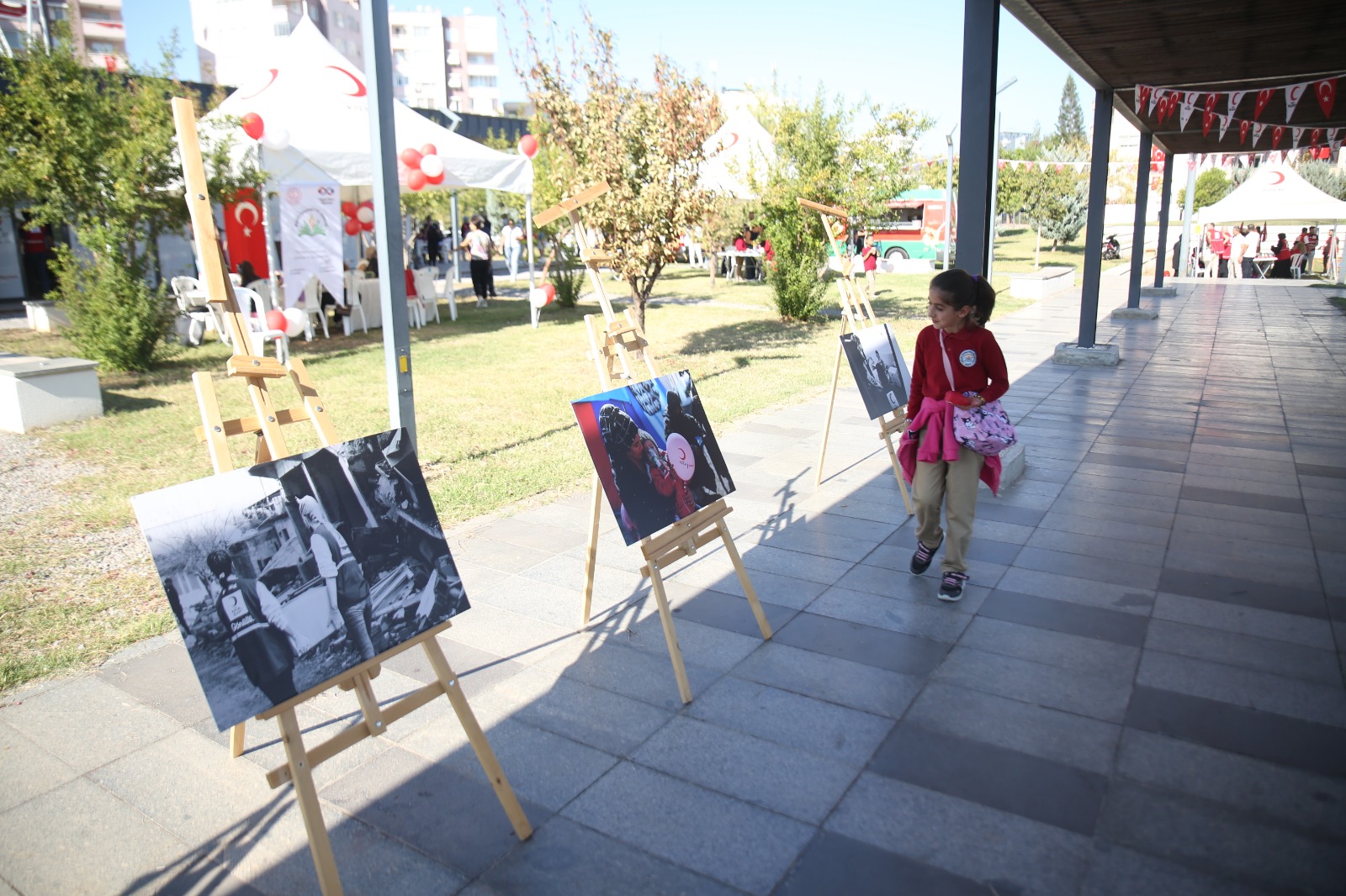 C0B4B4Db 7A1C 4F86 889D 6C65C5A656E4