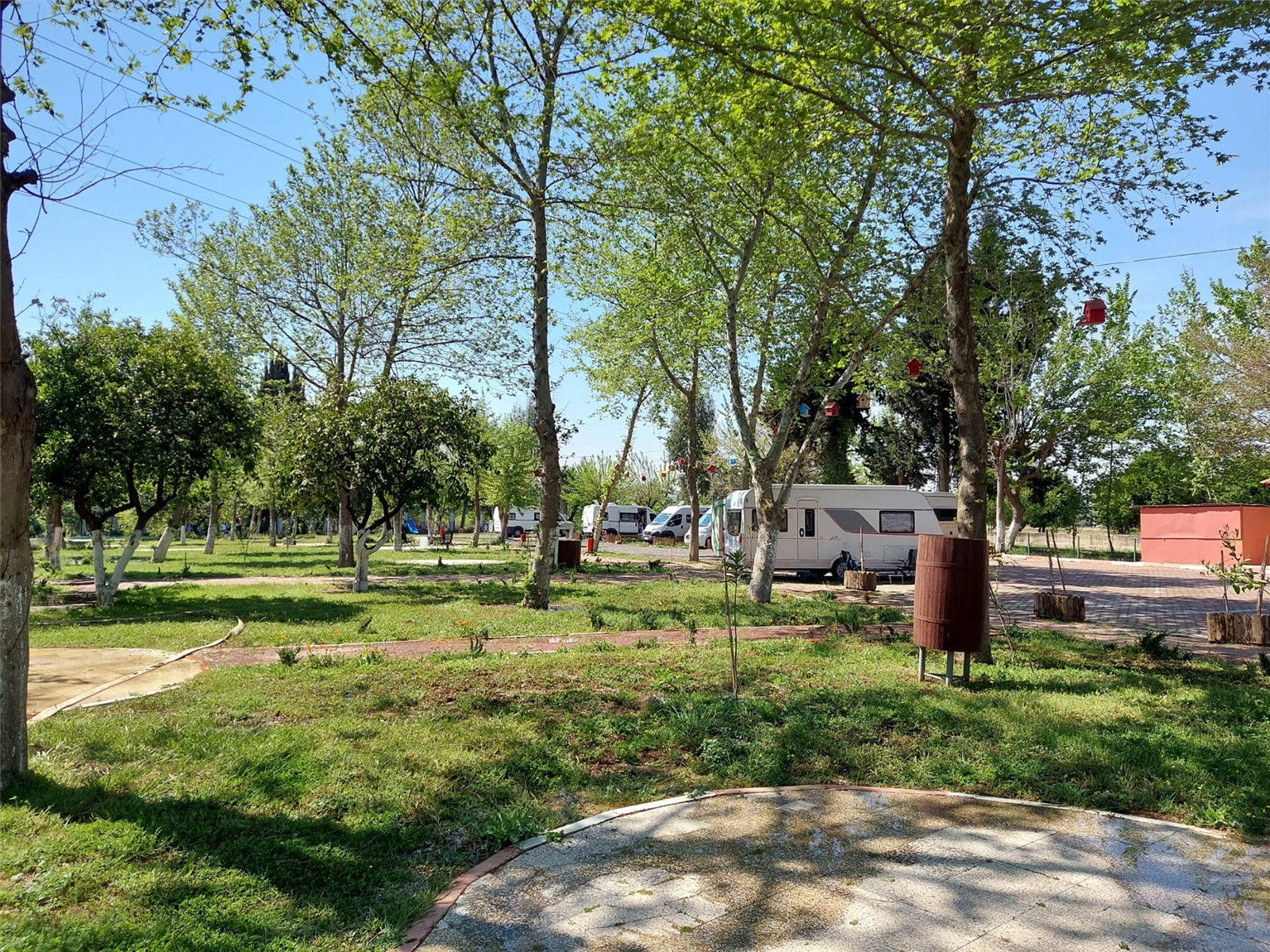 L 59202313241134
