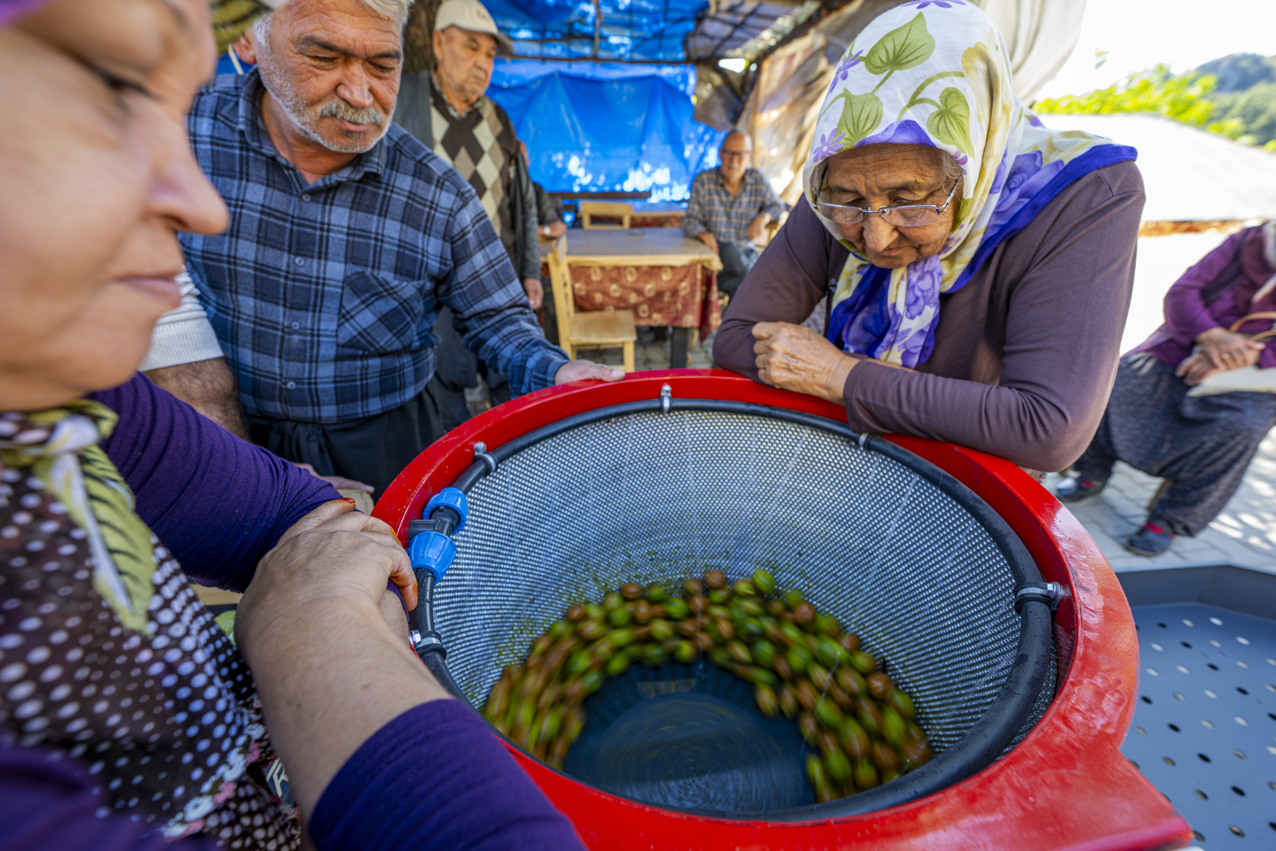 Mersi̇n Büyükşehi̇r’den Çi̇ftçi̇lere “Cevi̇z Soyma Maki̇nesi̇” Desteği̇ (4)